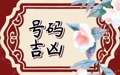 带财运的车牌号2023年 吉利号码牌盘点