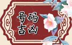 选车牌号禁忌7 带7的车牌不选