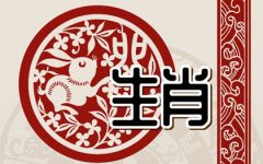 2023年属兔的是什么命格 属兔缺什么