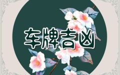 车牌号为什么不能带2 原因是什么