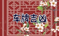 车牌号282的谐音寓意 282号码吉利吗