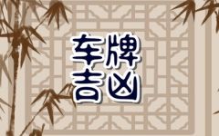 属兔人选车牌那个数字好 满分号码查询