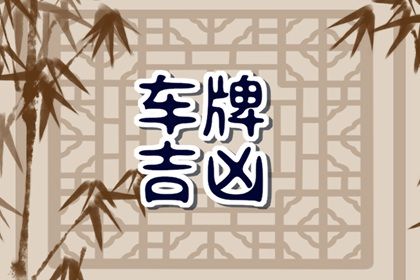 属兔人选车牌那个数字好 满分号码查询