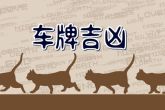 属兔的车牌吉祥3位号 车牌号码幸运数字