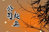简单好听家政公司名字大全 家政公司取名字大全