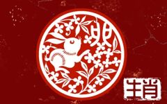 属兔人2023下半年运势 哪些方面需要注意