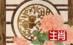 属兔的2023下半年运势如何 健康方面表现好吗
