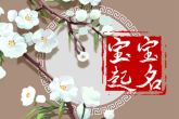 诗经楚辞龙凤胎取名大全 龙凤胎名字分享