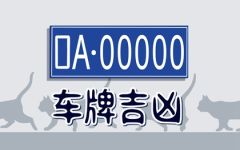 带财运的车牌号2023年 号码什么数字好听