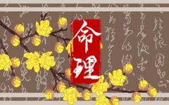 出生的时辰代表了什么 12个时辰不同命运