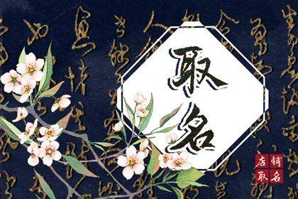 兔宝宝取名免费大全 好听寓意好的名字
