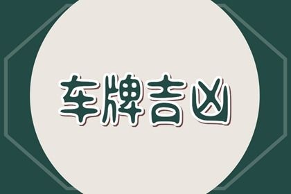 属兔的人车牌号码测吉凶 属兔吉祥号码大全