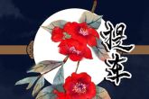 2023年8月24日提车好不好 提新车如何