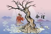 兔年子时出生的女孩命运 命中带桃花煞