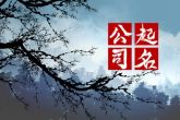 开个公司名字用什么最好 吉利旺财公司名称