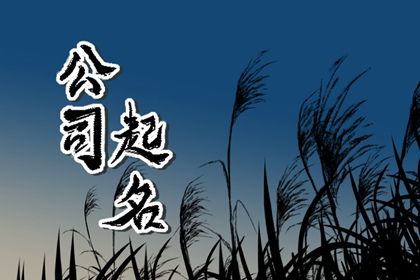 挖机机械租赁公司取名大全 挖机公司起名霸气