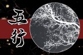 2021的五行属性是什么 属牛人性格特点