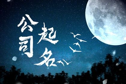 最新创意公司名字大全 高大上的企业名字