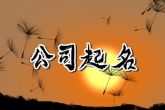 起一个霸气的公司名字 令人瞩目的公司名字