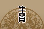 2023年9月4日生肖相冲查询 十二时辰冲属相