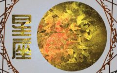 2024年财运好的星座 狮子座抓住财富良机
