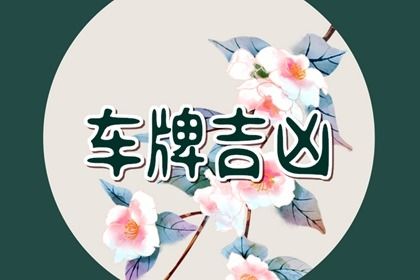 如何选车牌号码吉利 车牌号有哪些吉利数字