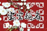 宋姓男孩名字优雅大气100分 宋宝宝取名大全