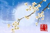 小孩名字2024龙年大全 旺龙运气的名字合集