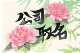 带财运的公司名字大全两个字 利发展的公司名