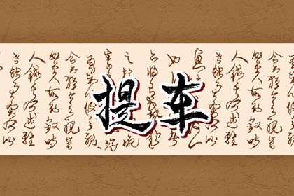 2023年12月19日提车好不好 适不适合买新车