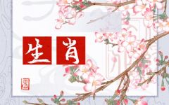 2023年12月16日生肖相冲 十二时辰冲属相