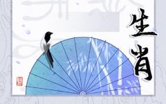 2023年12月21日冲什么生肖 时辰相冲对照表