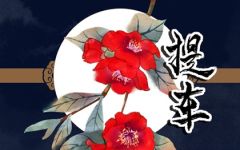 2024年3月提车黄道吉日查询 3月份提车好日子