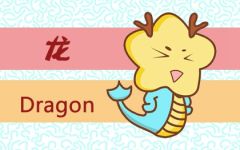 属龙1月运势2024年 属龙人一月会怎么样