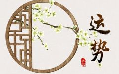 2024年1月24日生肖运势查询
