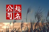 贸易公司起名字大全免费简单 会给我们带来好运的公司名字