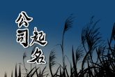 新材料公司名字大气好听 有意思的新材料公司名字
