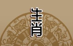 2024年2月6日冲什么属相 每日冲煞查询