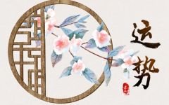 2024年1月31日生肖运势查询