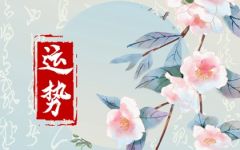 2024年2月10日生肖运势查询