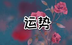 2024年2月17日生肖运势查询