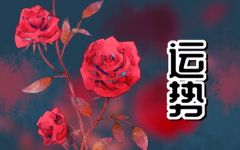 2024年2月20日生肖运势查询