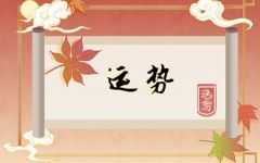 2024年2月23日生肖运势查询