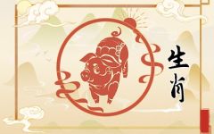 2024年2月属猪人运势 生肖猪二月会怎么样