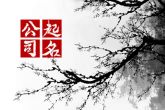 公司取名字参考大全两字 公司发展有前途的名字