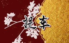 2024年3月14日提车怎么样 买车提车好不好