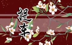 2024年3月16日提车日子好不好 买车提车好不好