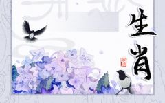83属猪和88属龙的婚姻 属猪和属龙哪年结婚最好