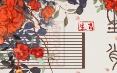 属龙和属羊相配吗 龙和羊的属相合不合
