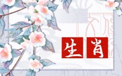 属鼠能和属猴婚配吗 猴和鼠的属相合不合
